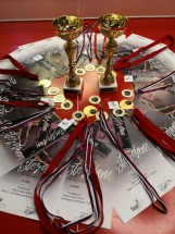 Medalje i diplome Medalje i diplome